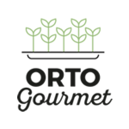 Ortogourmet Stage