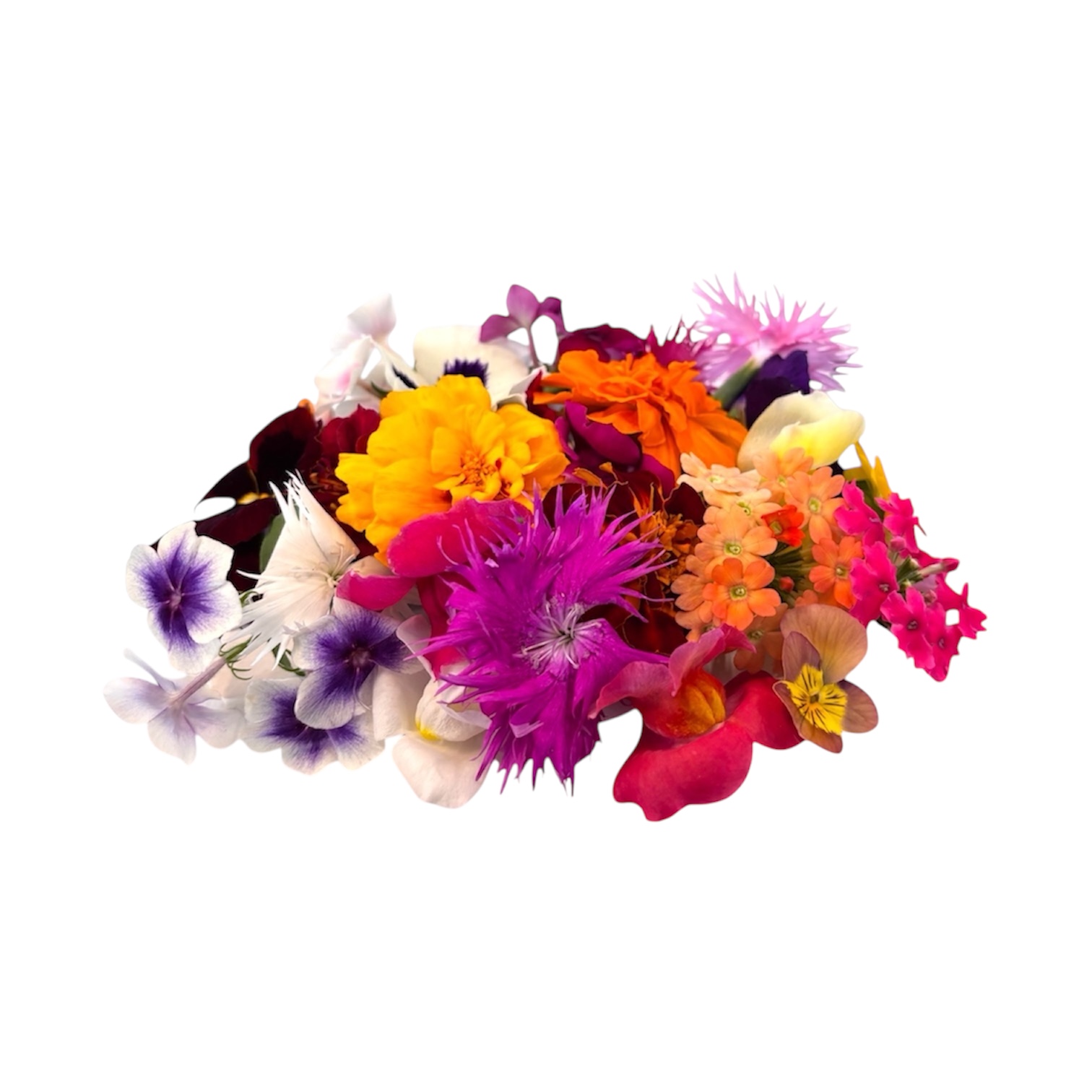 Fiori eduli mix - 30 pz - immagine 1