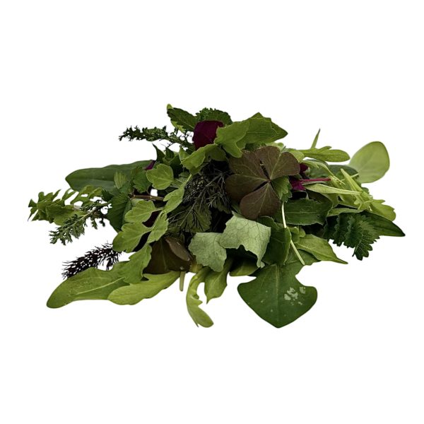 Misticanza Selvatica 30 g