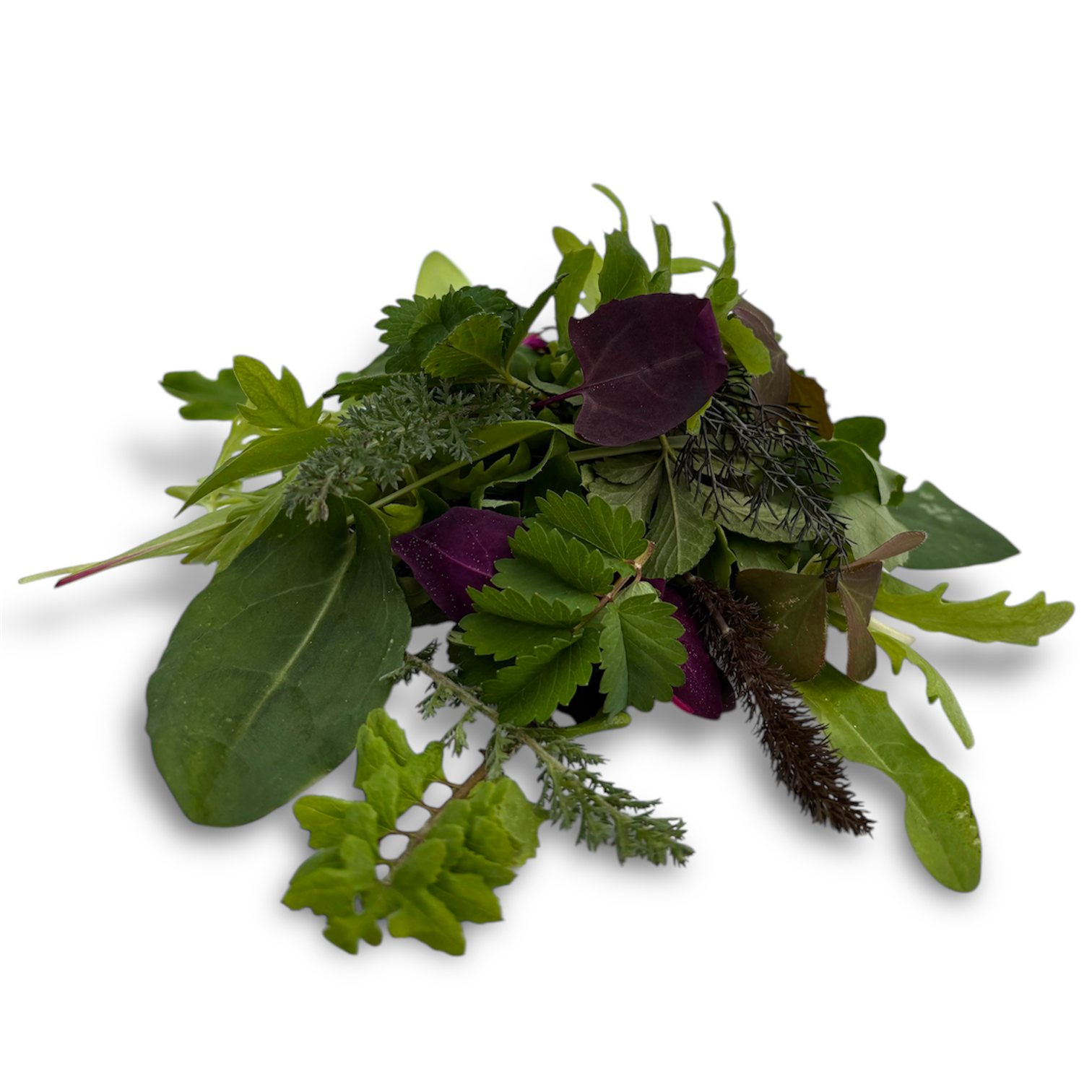 Misticanza Selvatica 60 g - immagine 1