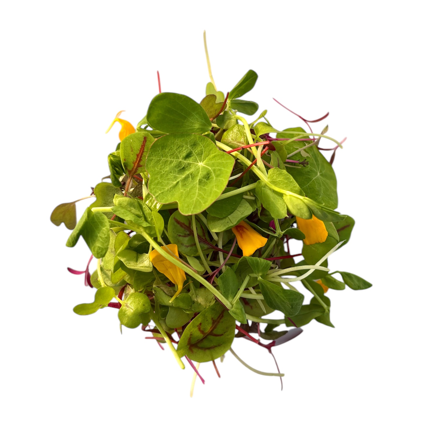 Misticanza Gourmet 30 g - immagine 1