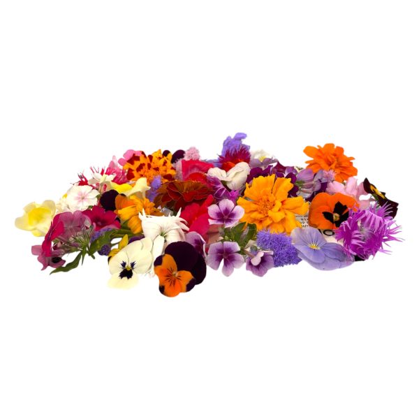 Fiori eduli mix - 100 pz
