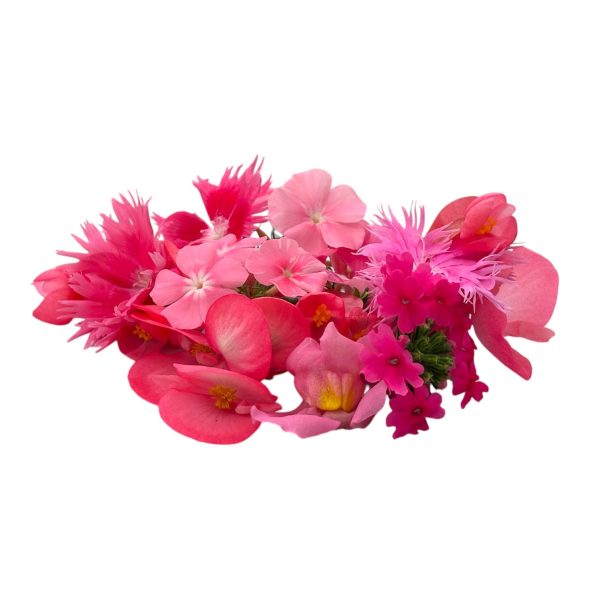 Fiori eduli rosa