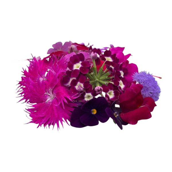 Fiori eduli viola