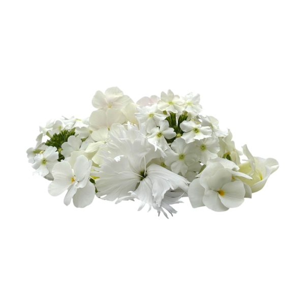 Fiori eduli bianchi