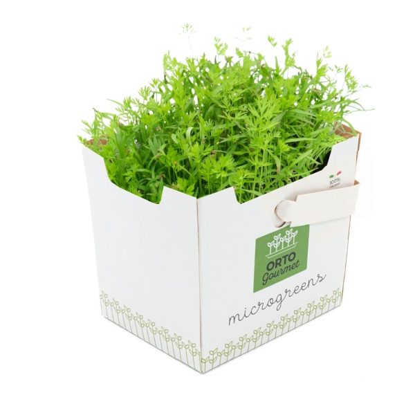 Micro Carota 1 pezzo