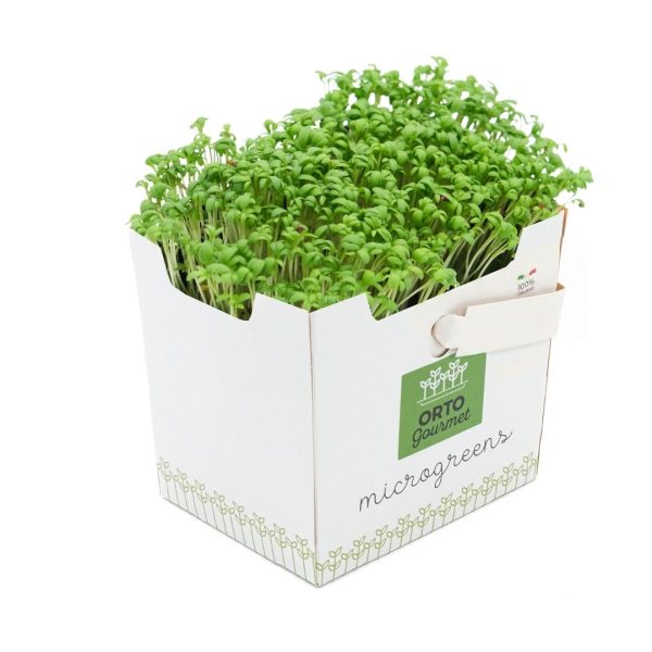 Micro Crescione 1 pezzo