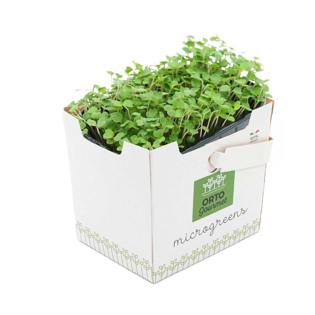 Micro Rucola 1 pezzo - immagine 1